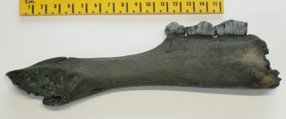 &copy; Thijs de Boer